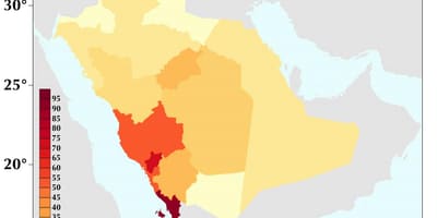 Saudi Arabia, populazio-dentsitate mapa